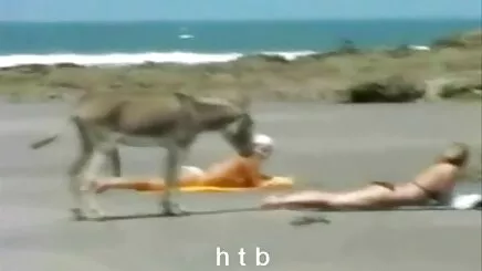 Babe nghiệp dư phim sex hoạt hình anime đen Hứng cơn Bão