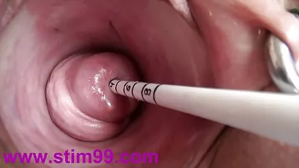 Tình dục hoat hinh sech