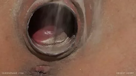 Tập Báo Austin Cole - Thổi Show - Tế Vua phim hoat hinh sex phu de